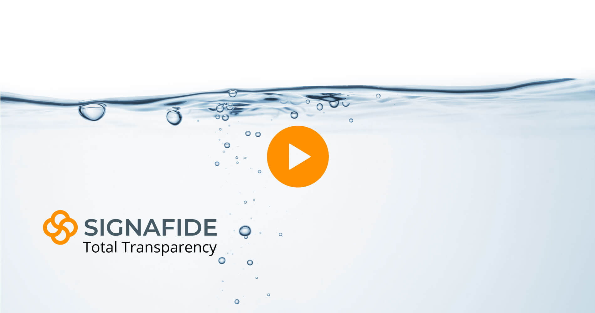 Signafide - Total Transparency