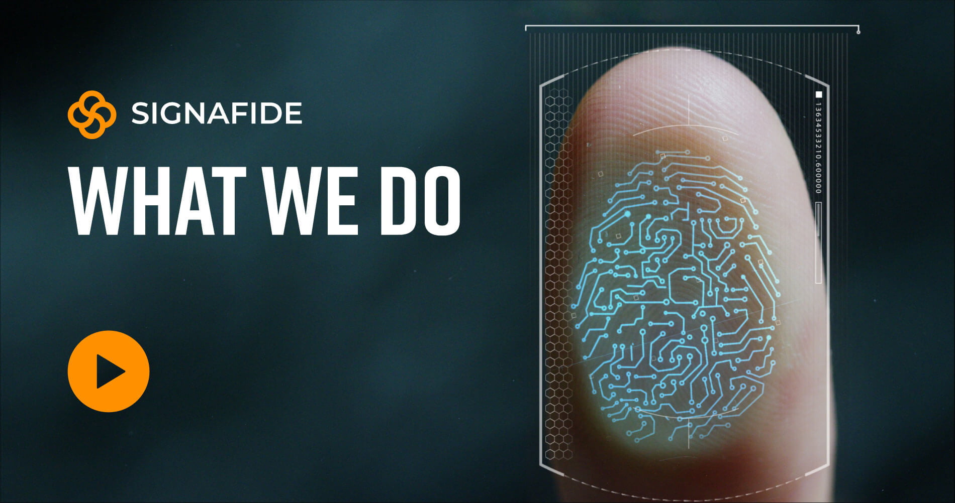 Signafide - What we do.